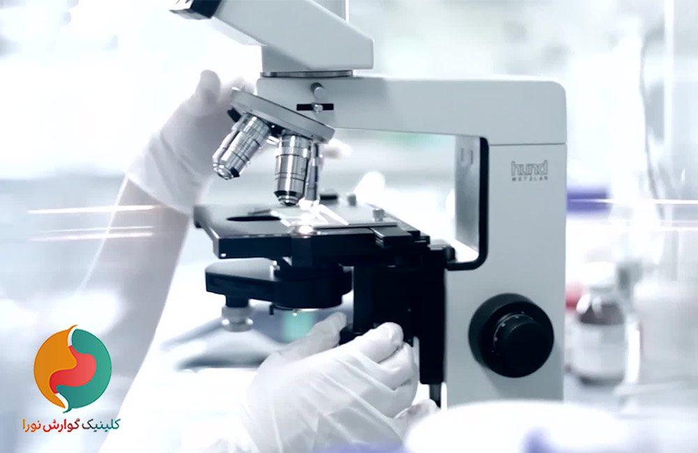 آزمایش DNA مدفوع