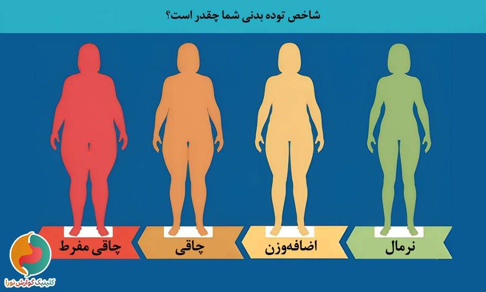 شاخص توده بدنی