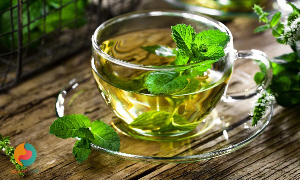 نعناع؛ خنک و مهارگر میل به غذا
